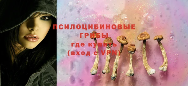 мяу мяу мука Белокуриха